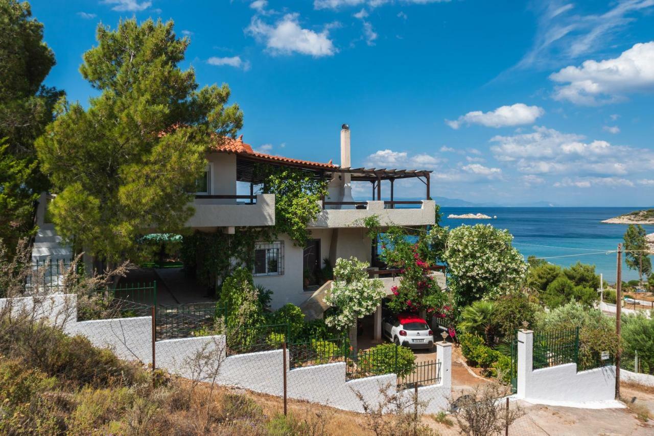فيلا Saronic Seafront سالاميس المظهر الخارجي الصورة